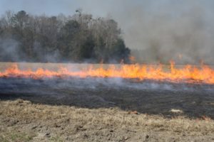 photo of a fire in a field
