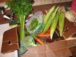 photo of fresh veggies in a cardboard box