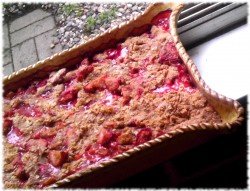 photo of red rhubarb crisp in a ceramic tray dish