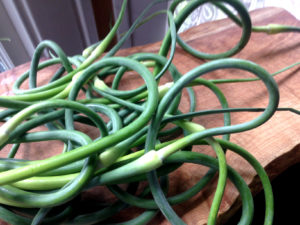 scapes