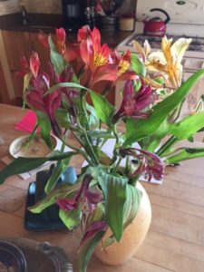 Day 12: alstroemeria in traditional vase