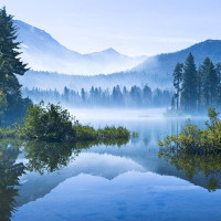 Zen Puzzles--Mountain Mist