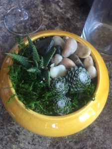 succulent pot