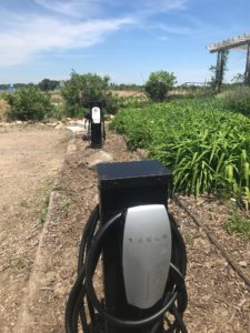 Tesla Charging Station at the Clay Coyote Gallery and Pottery in Hutchinson, MN open to public