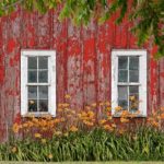 25th annual Fall Open House (Oct 27 & 28) with visiting Minnesotan artists: Rachel Cain a photographer from the Twin Cities