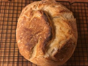 Clay Coyote Bread Baker for the perfect artisan bread