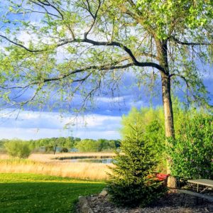 Are you looking for a unique culinary experience? Join us for two cooking with the Clay Coyote events in June. Bring your spouse, parent, or friend along for a night of food and pottery on a gorgeous setting just one hour West of the Twin Cities. Enjoy views of ponds, prairie, and Todd Lake in the distance.