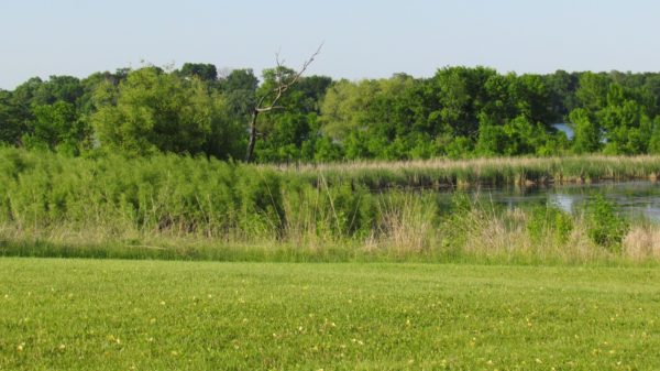 Enjoy dinner on the farm, a tour of the studio, see how the pots are made, learn how to use them, and take home your own set to put into action in your home! Clay Coyote is located in Hutchinson, MN and we make awesome pots for your kitchen!