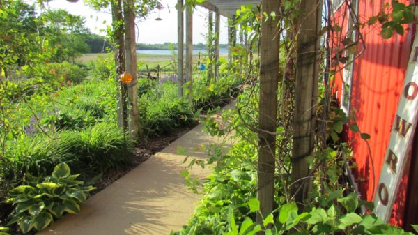 Enjoy dinner on the farm, a tour of the studio, see how the pots are made, learn how to use them, and take home your own set to put into action in your home! Clay Coyote is located in Hutchinson, MN and we make awesome pots for your kitchen!