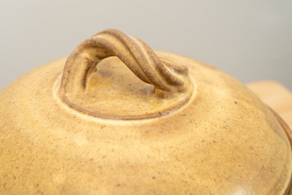 the photograph shows a close up view of the top of a clay coyote bread baker lid. the focus of the photograph is the twisted handle on the top of the break bakers lid. the background is white. the photograph is lit with white light.