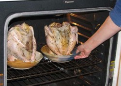 Chicken Oven