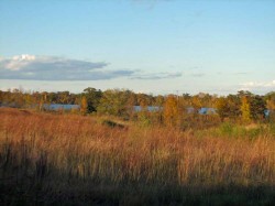 Lake todd NW