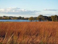 Lake Todd North of Gallery