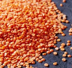 Red Lentils from Dan and Becky's market in Cokato